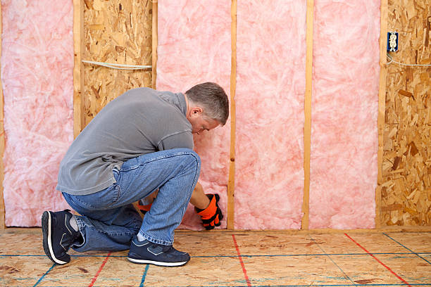 Best Commercial Insulation Services  in Prairie Creek, AR